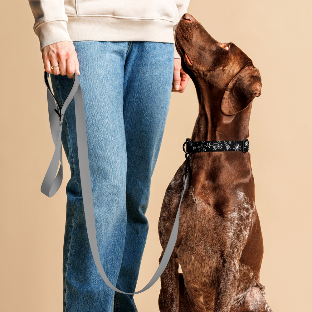 Astronauts Pet collar