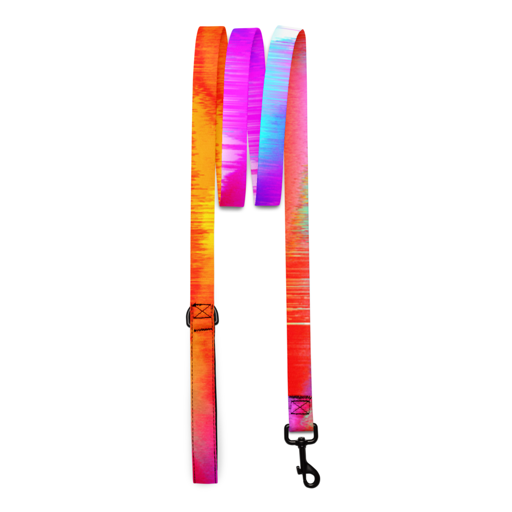 Color Punch Pet leash