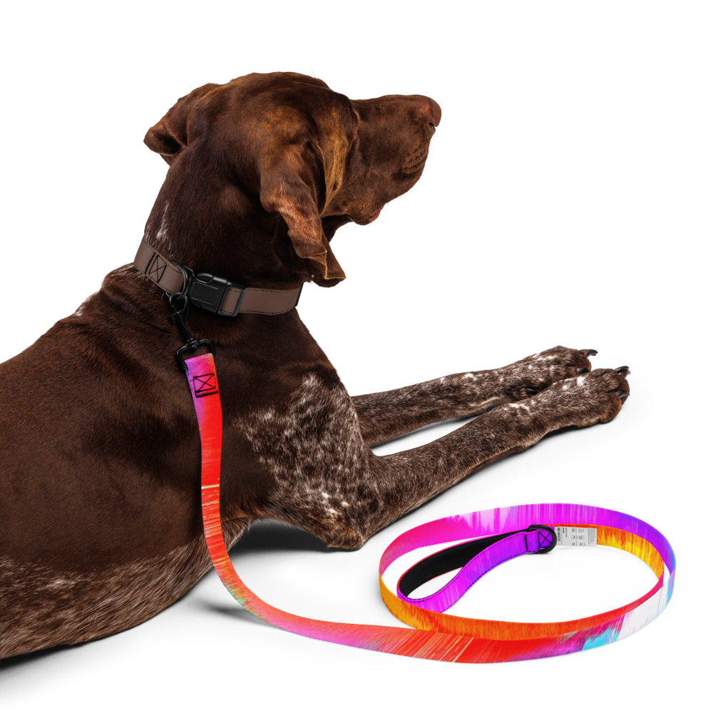 Color Punch Pet leash