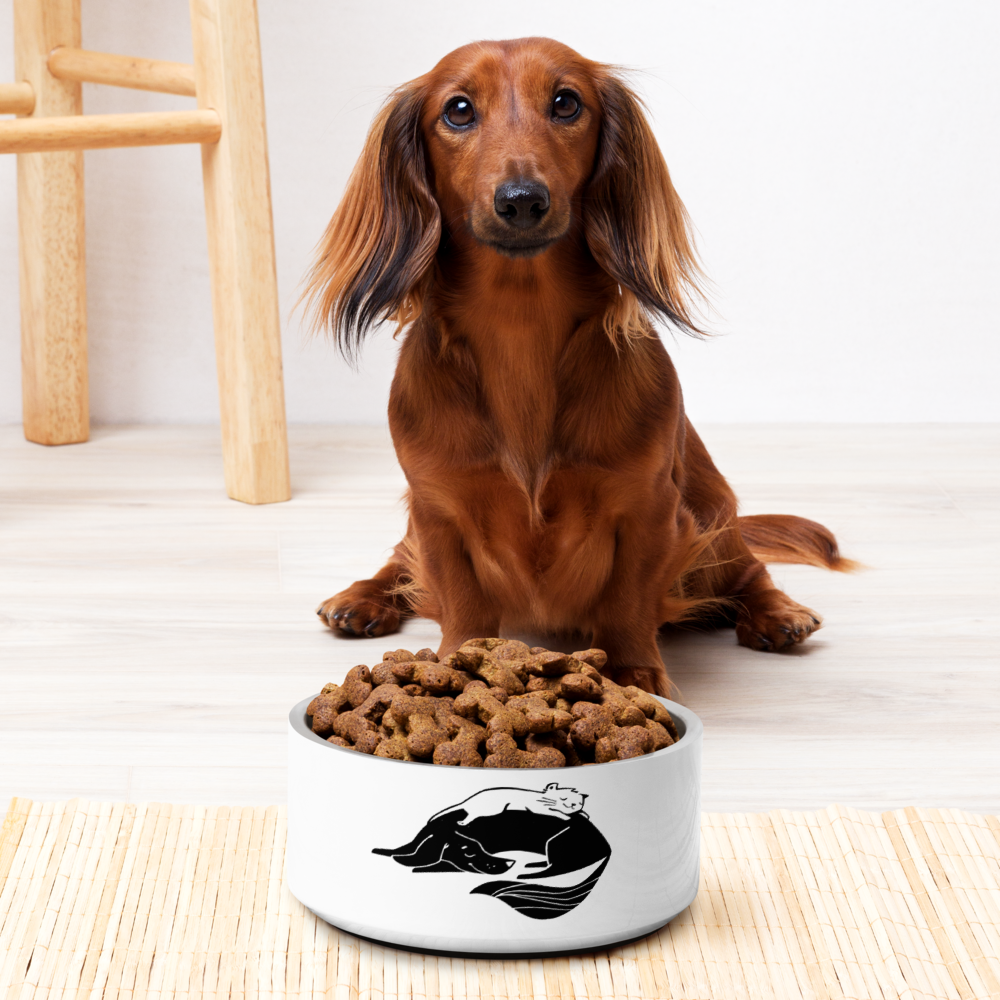 Cuddling Cat and Dog Pet bowl