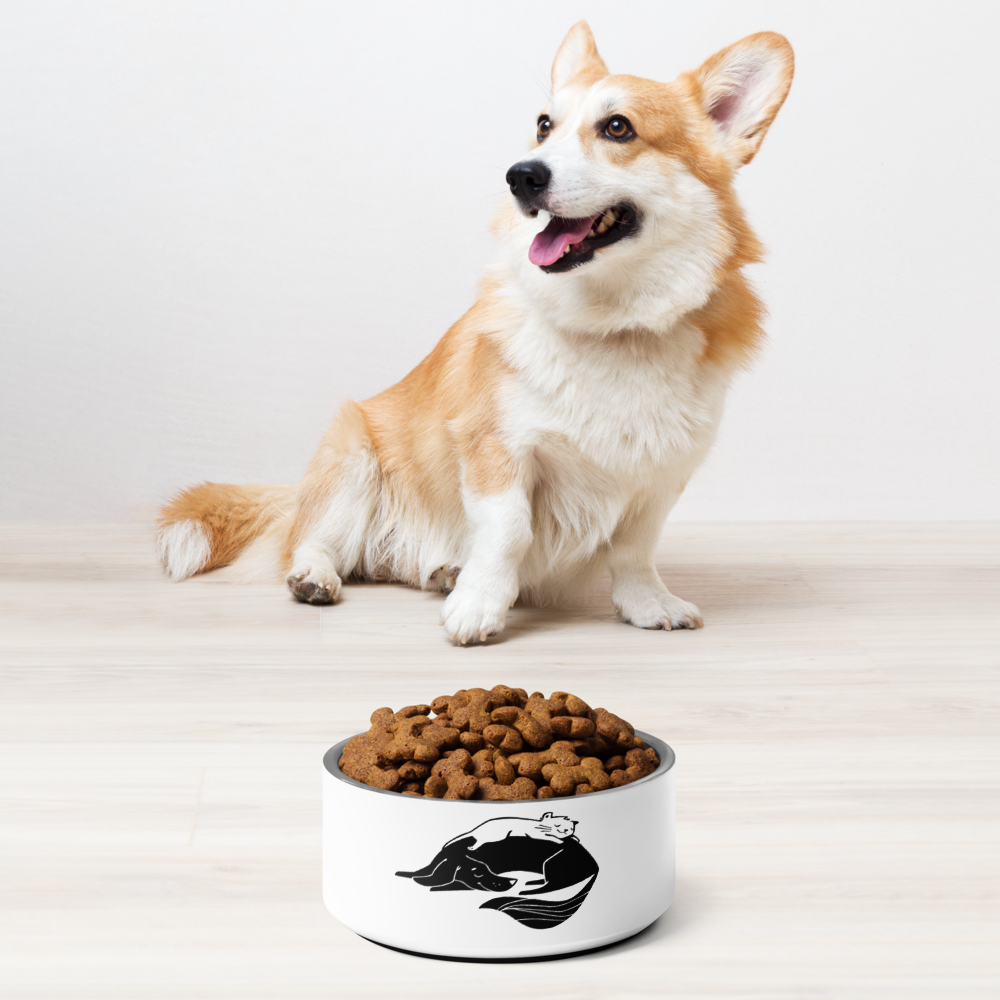 Cuddling Cat and Dog Pet bowl