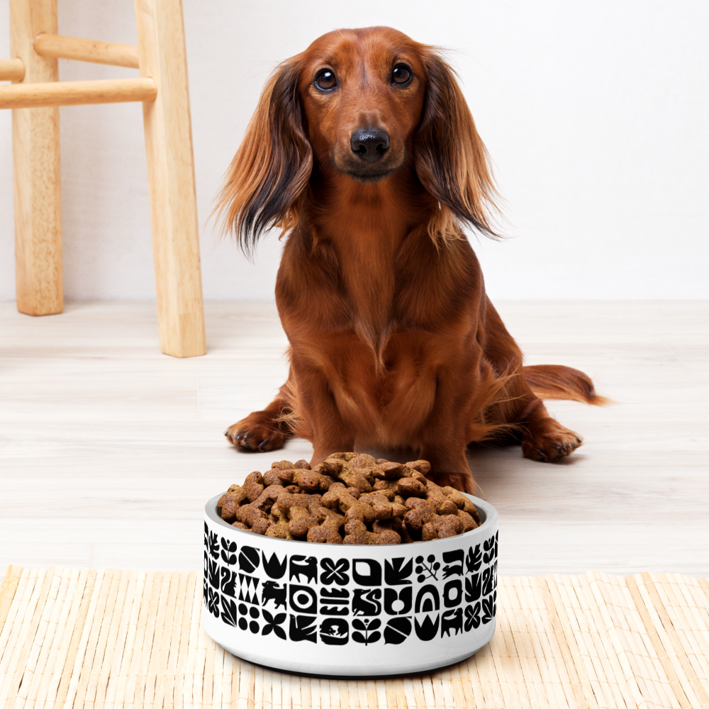 Dogs and Squirrels Graphic Pet bowl