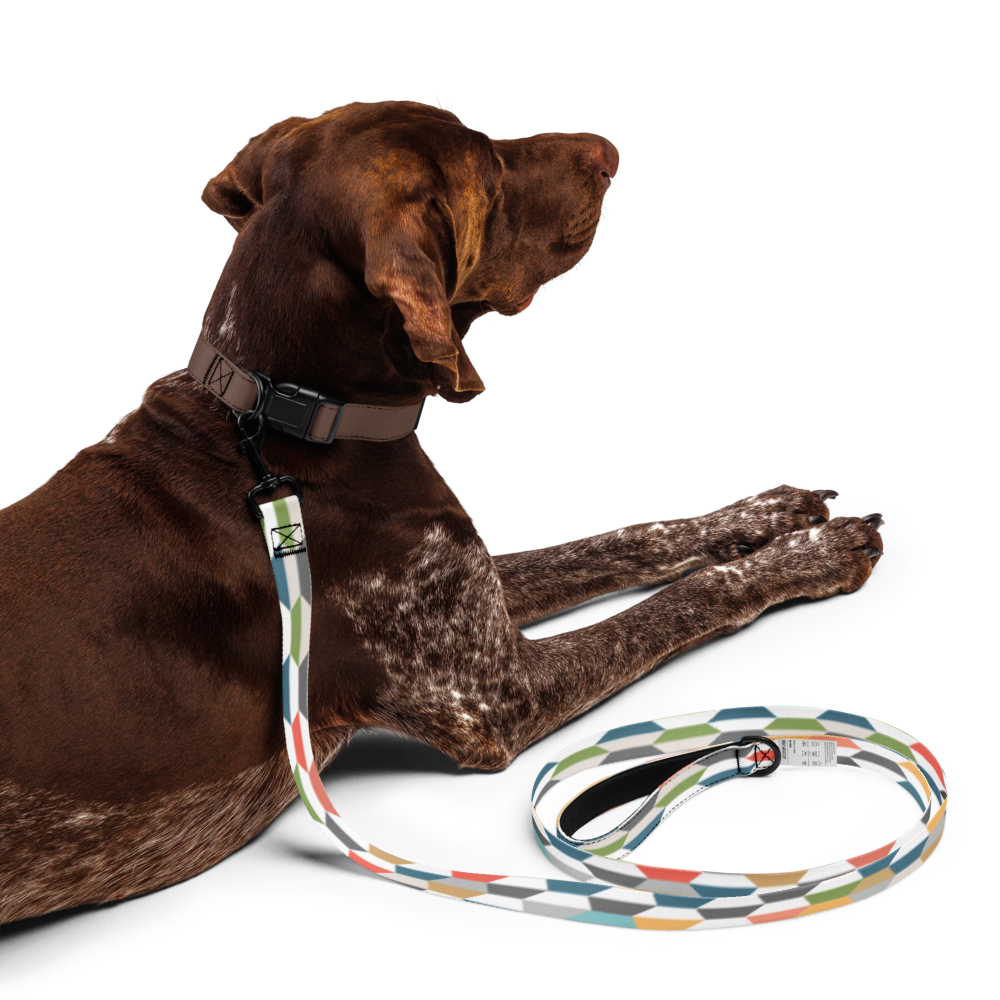 Graphic Color Pet leash