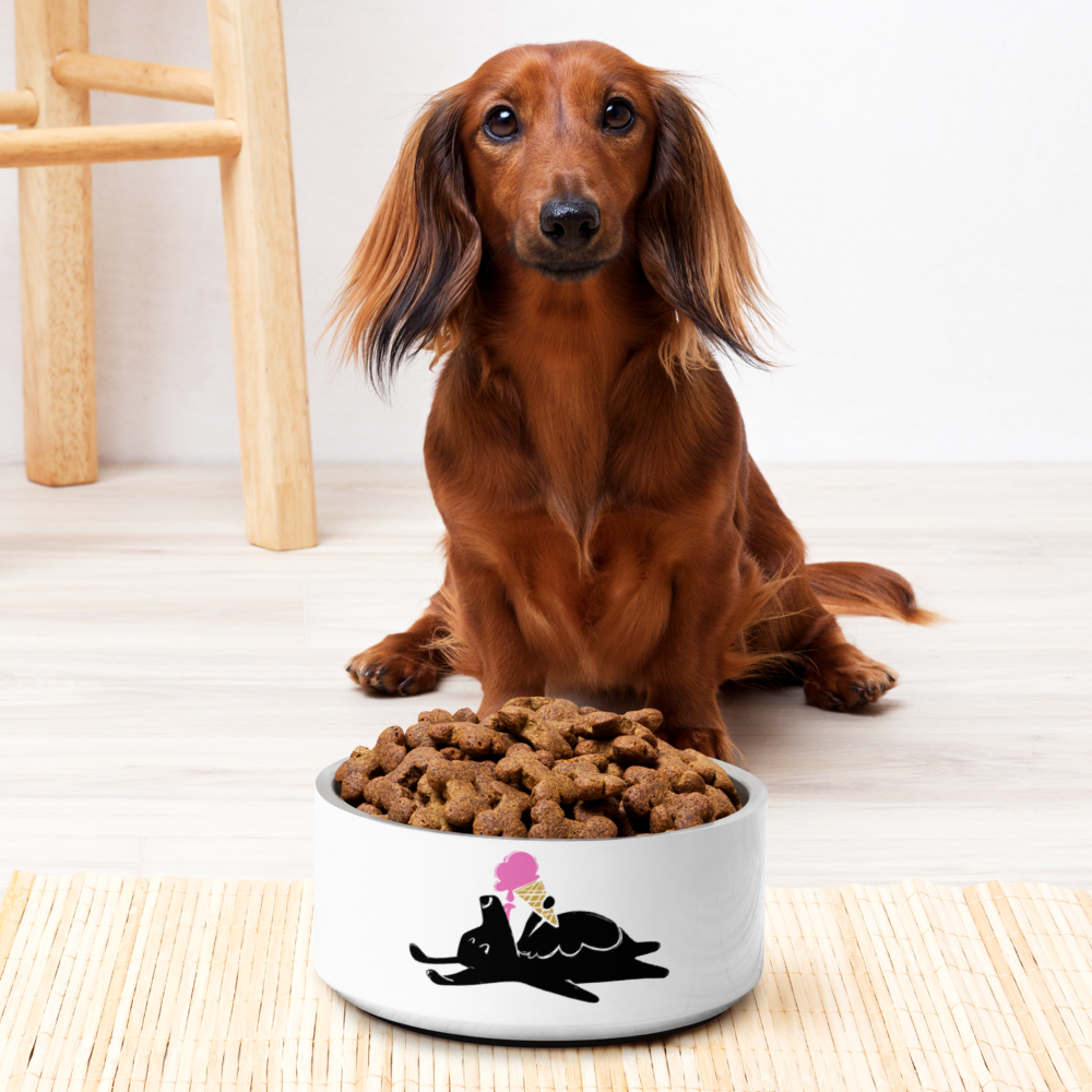 Icecream Pooch Pet bowl