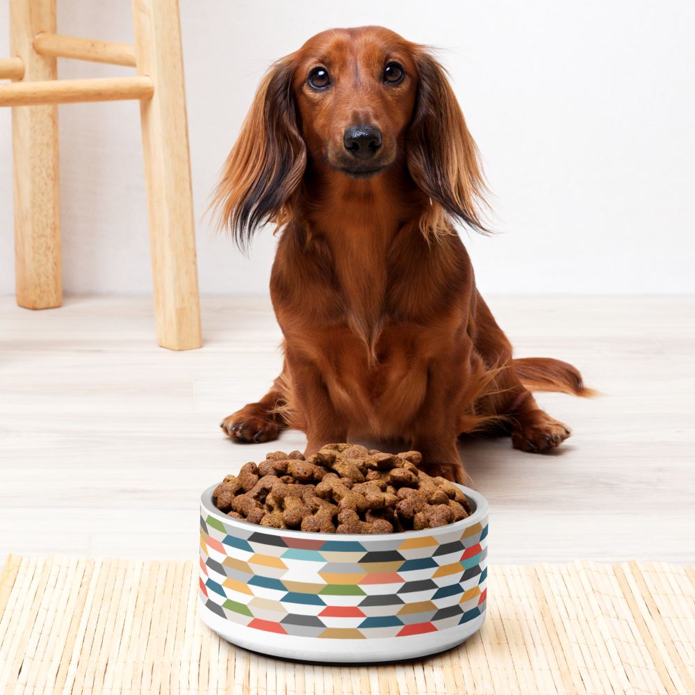 Modern Pet bowl