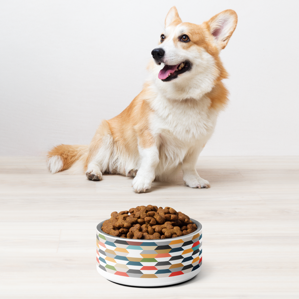Modern Pet bowl