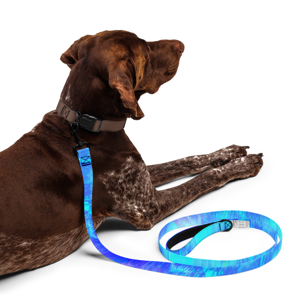 Blue Dream Pet leash