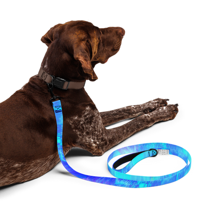 Blue Dream Pet leash