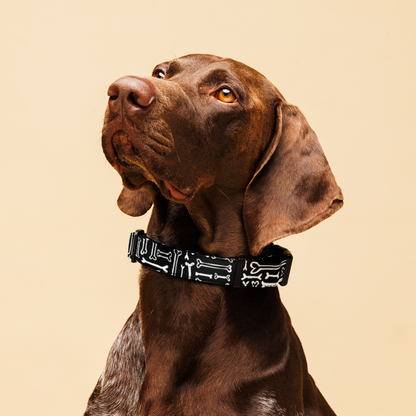 Bones Pet collar