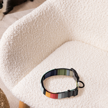 Color Bands Pet collar