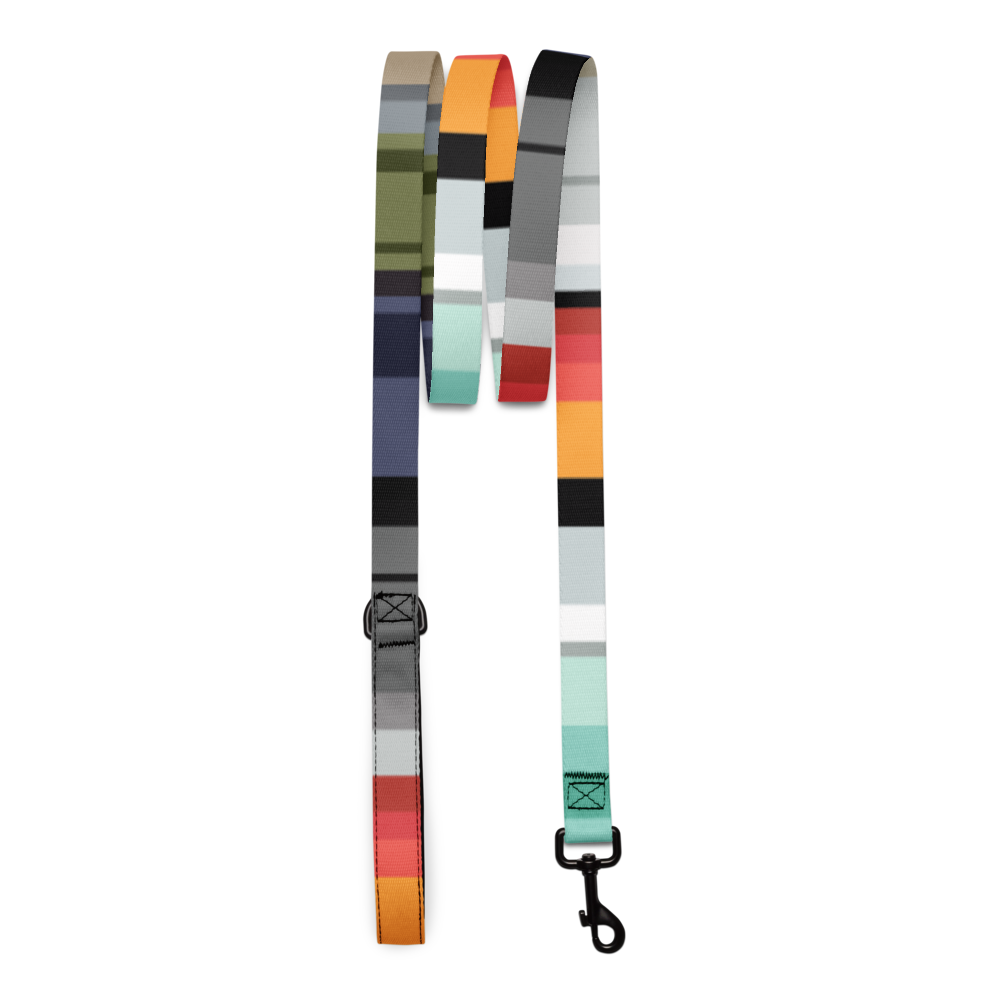 Color Bands Pet leash