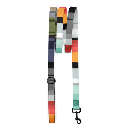 Color Bands Pet leash