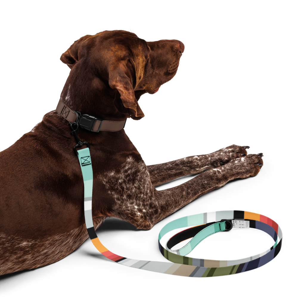 Color Bands Pet leash