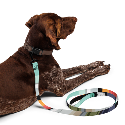 Color Bands Pet leash