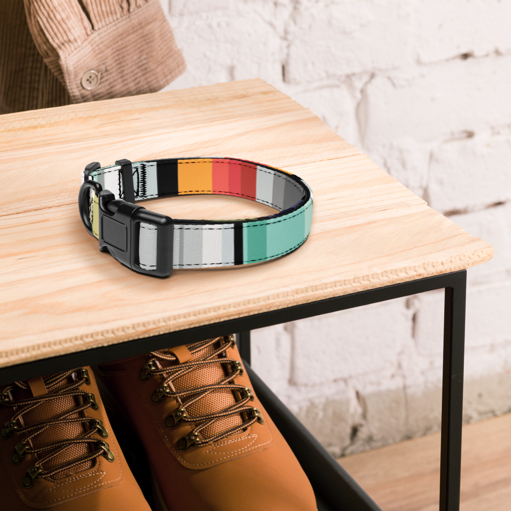 Color Bands Pet collar