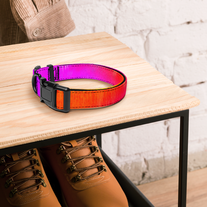 Color Punch Pet collar