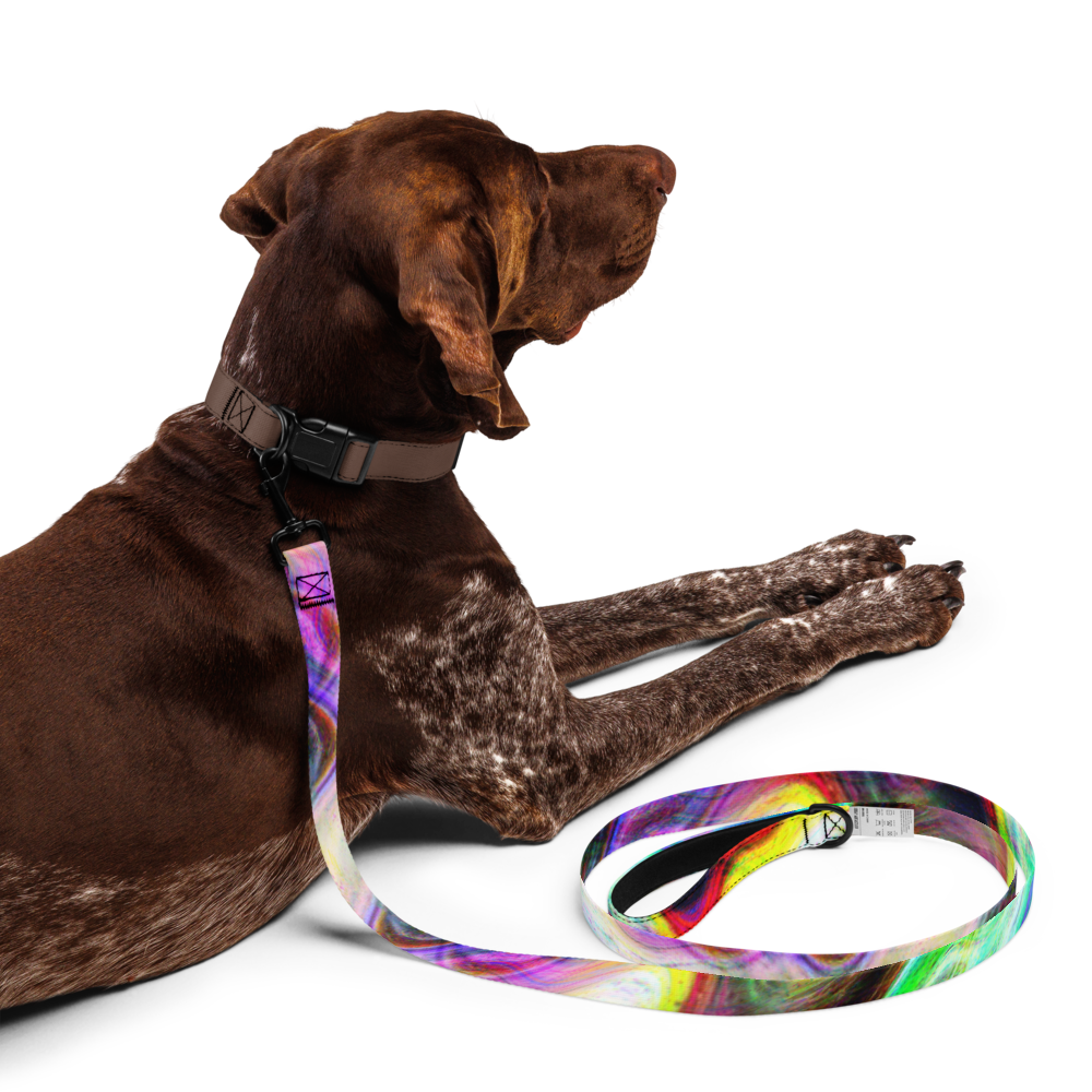 Color Soup Pet leash