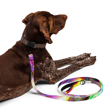 Color Soup Pet leash