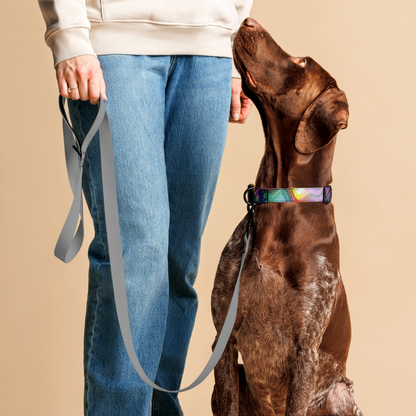 Color Soup Pet collar