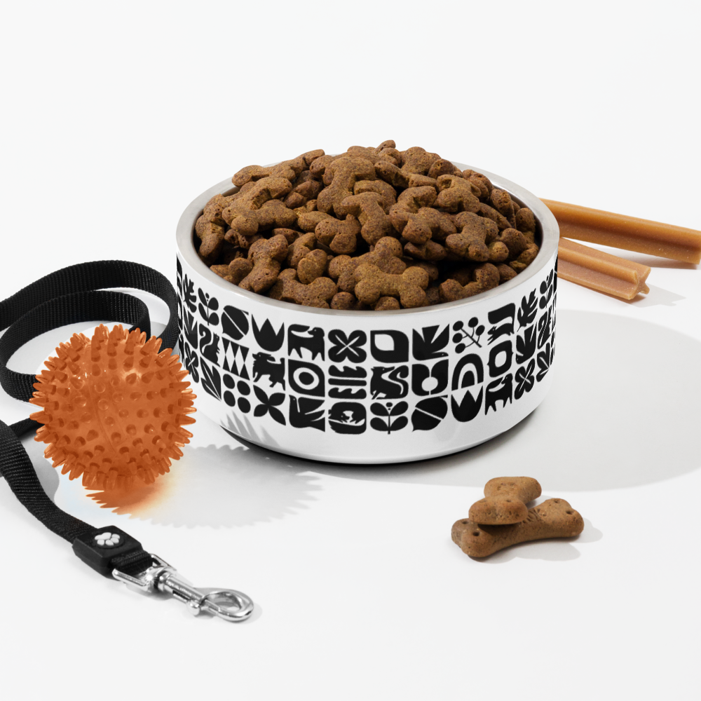 Dogs and Squirrels Graphic Pet bowl