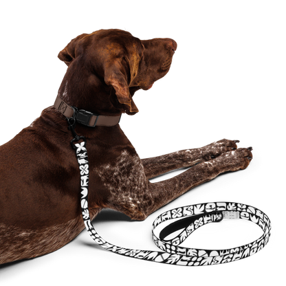 Dogs and Squirrels Graphic Pet leash