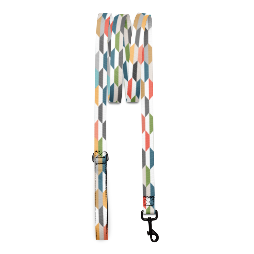 Graphic Color Pet leash