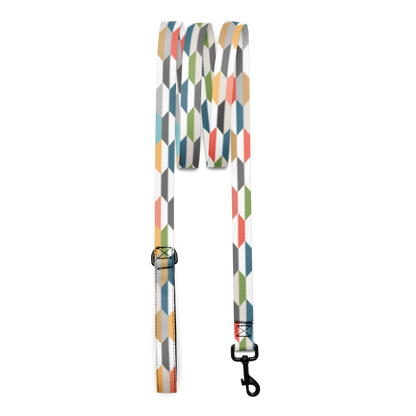 Graphic Color Pet leash