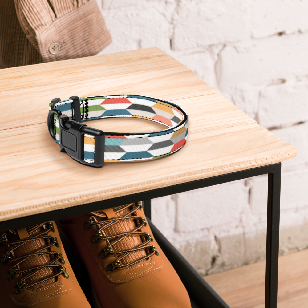 Graphic Color Pet collar