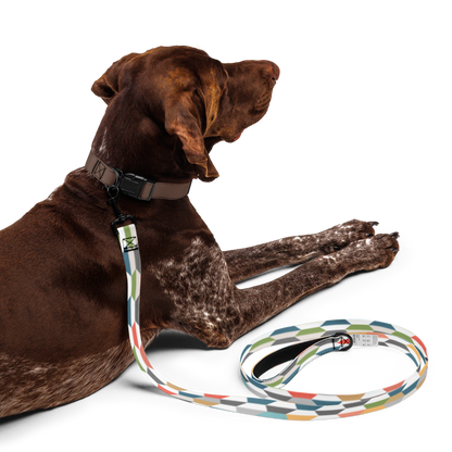 Graphic Color Pet leash