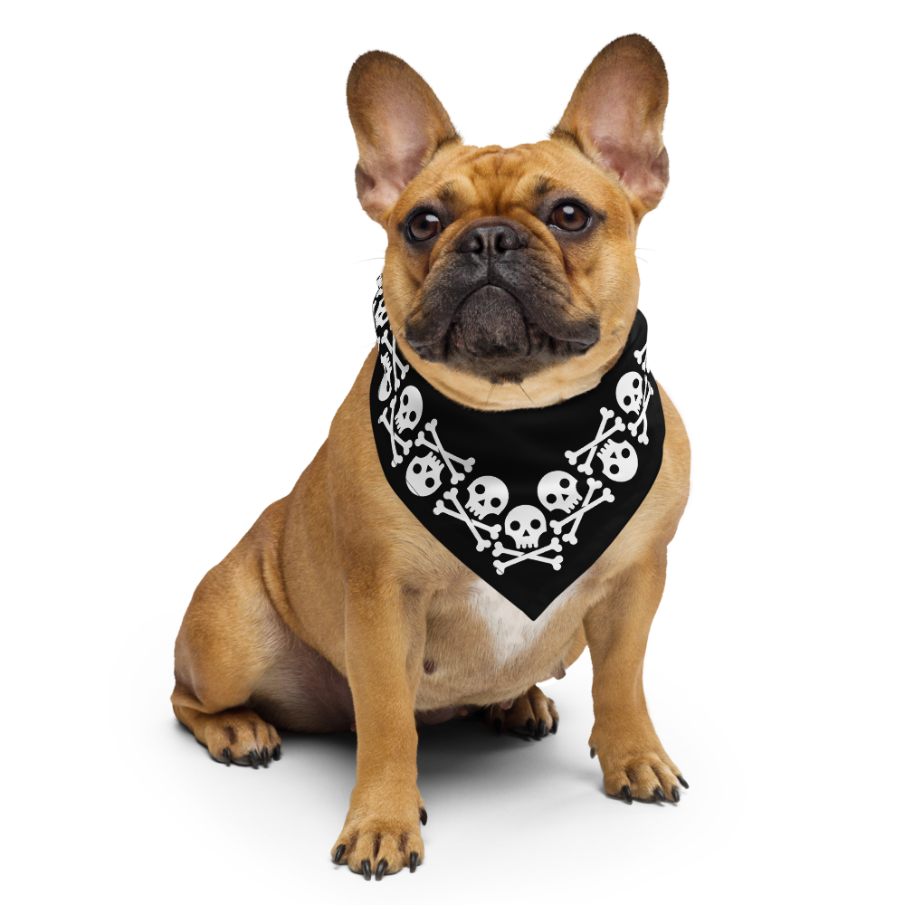 Jolly Roger bandana