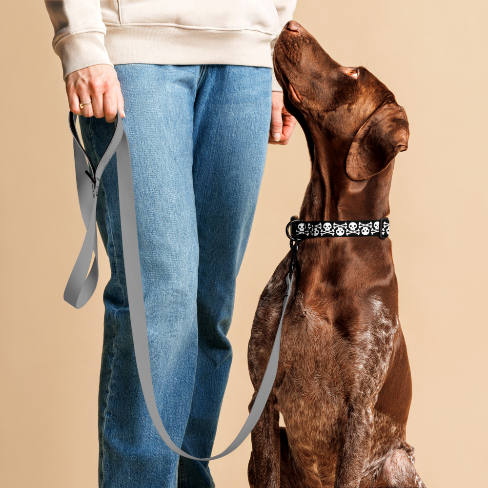 Jolly Roger Pet collar