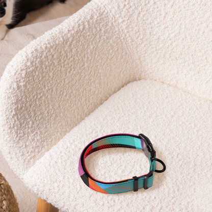 Modern Art Pet collar