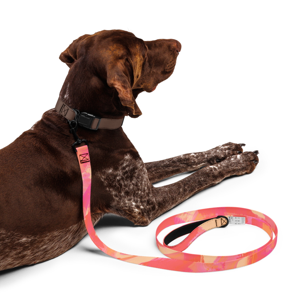 Paint Splash Pet leash