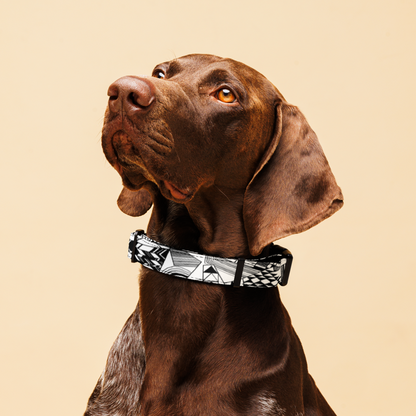 Patterned Pet collar #2