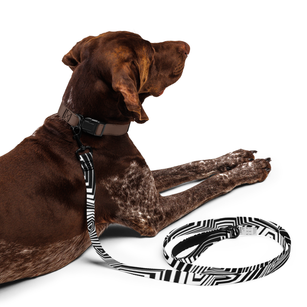 Razzle Dazzle Pet leash