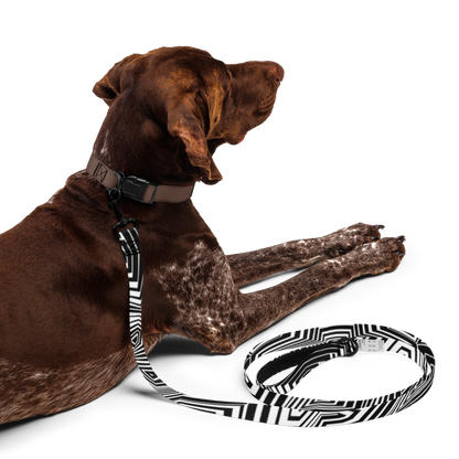 Razzle Dazzle Pet leash