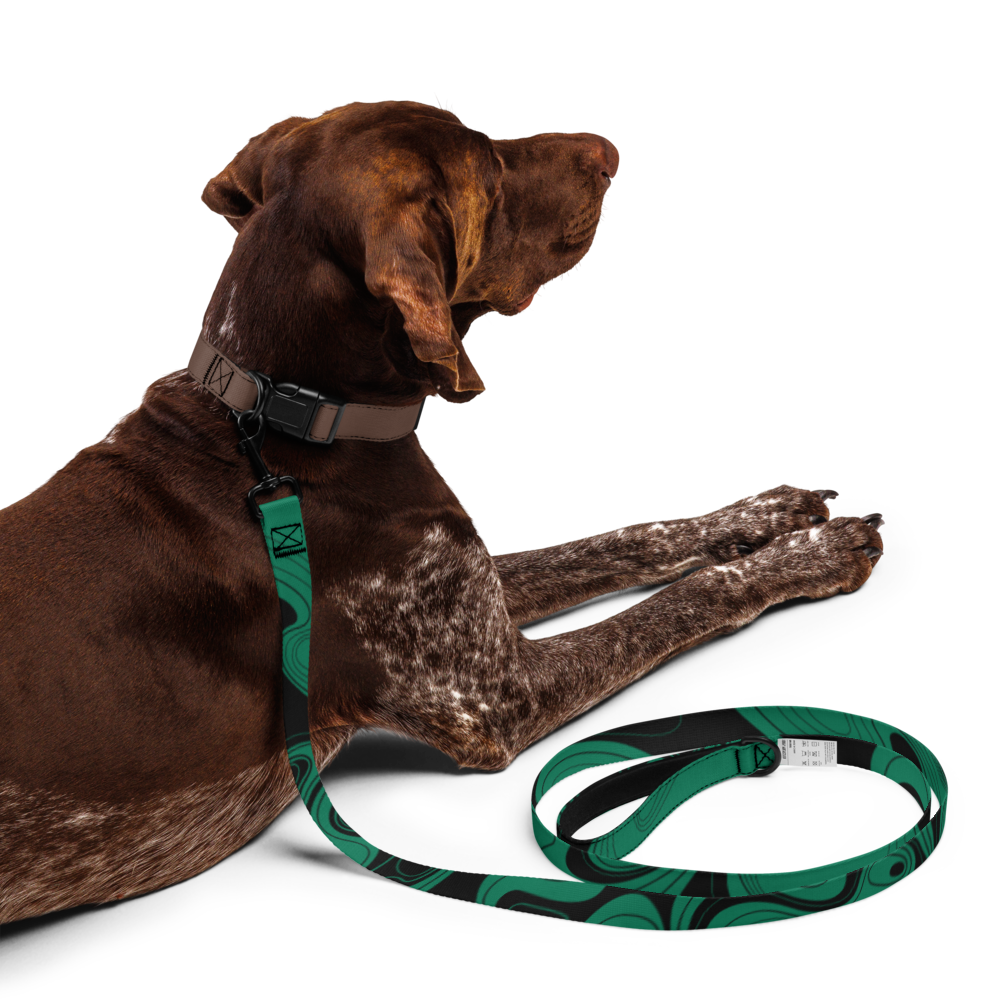 Swirl Pet leash